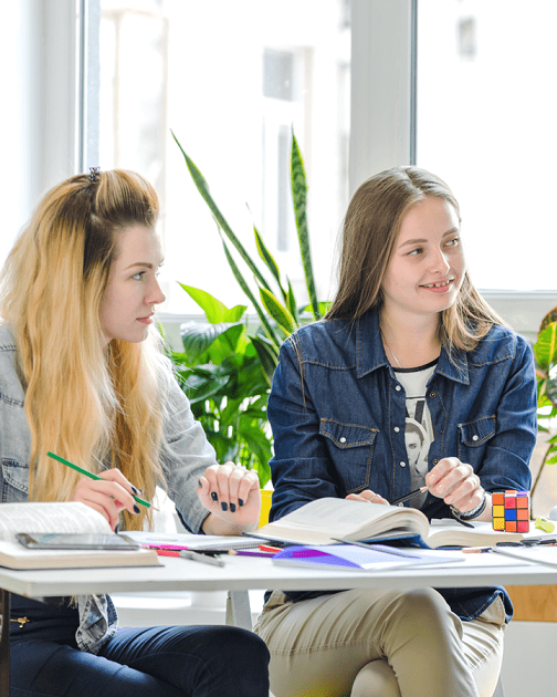 Lingua Family - курсы английского языка